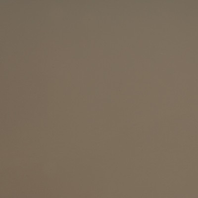 S5404B - Gris Brun Brillant 2